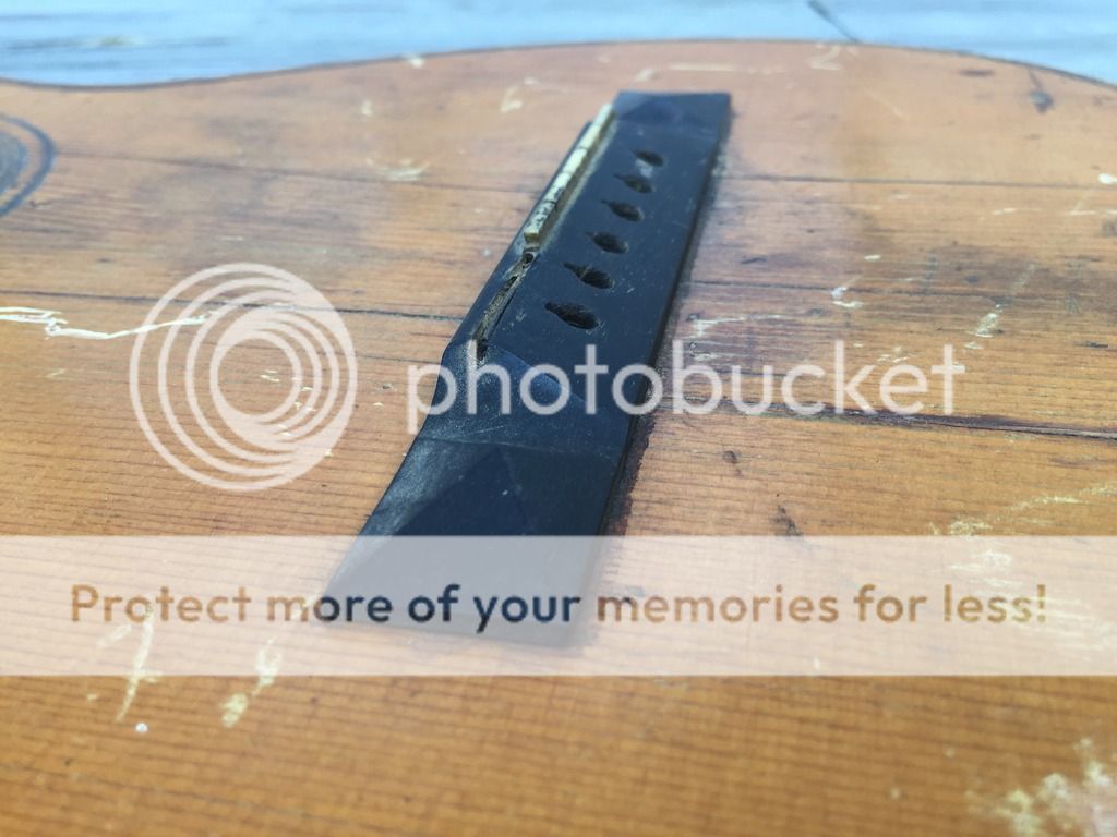 1800s? PARLOR GUITAR.... REVIVAL! - The Acoustic Guitar Forum